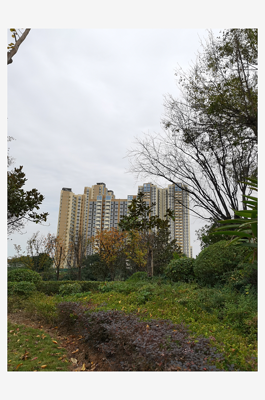 清新宜居的户外环境-众图网