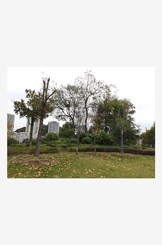 清新宜居的户外环境-众图网