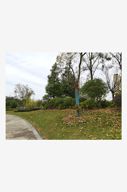 清新宜居的户外环境-众图网