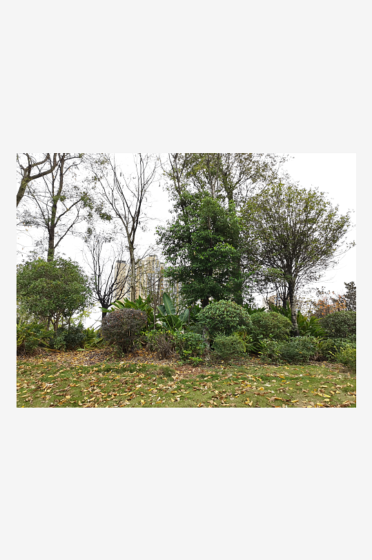 清新宜居的户外环境-众图网