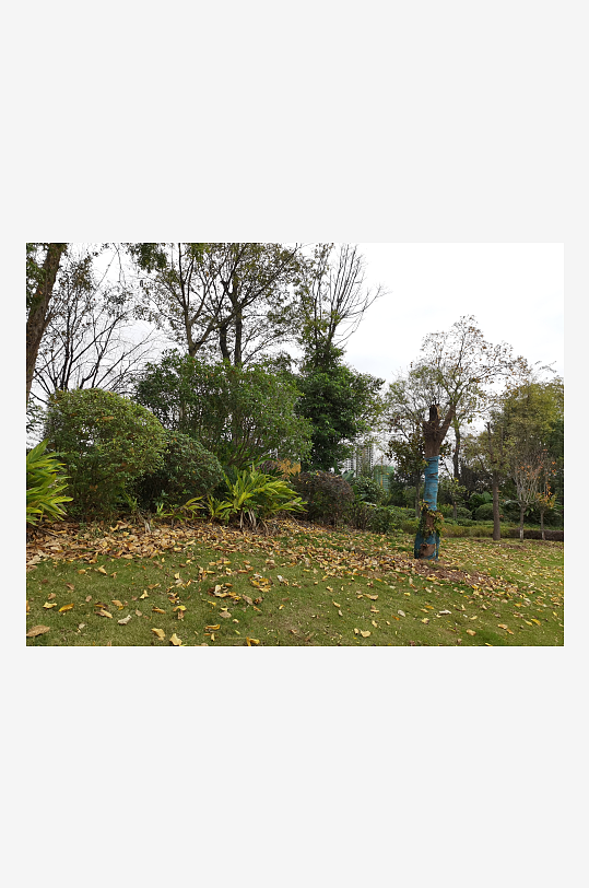 清新宜居的户外环境-众图网