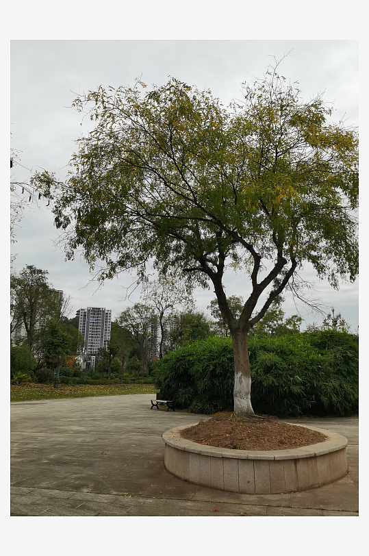 悠闲宜居的户外环境-众图网