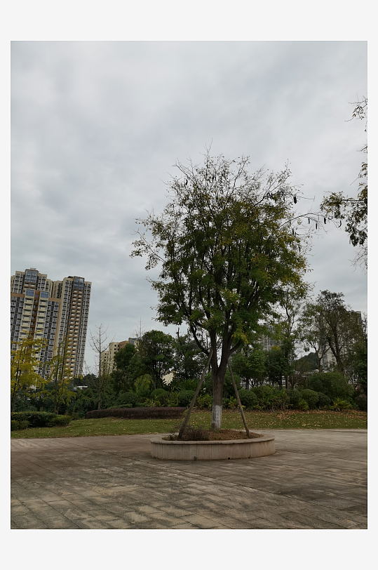 悠闲宜居的户外环境-众图网