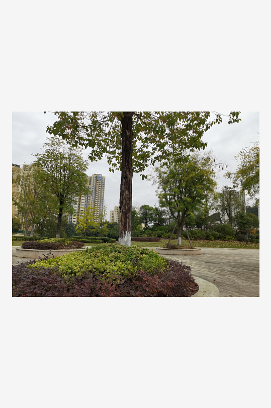 悠闲宜居的户外环境-众图网