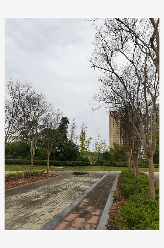 悠闲宜居的户外环境-众图网