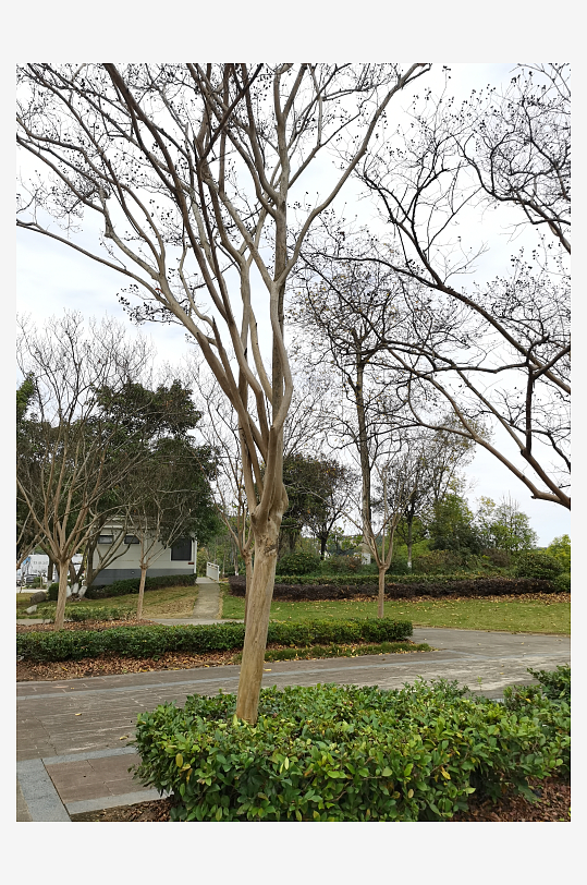 悠闲宜居的户外环境-众图网