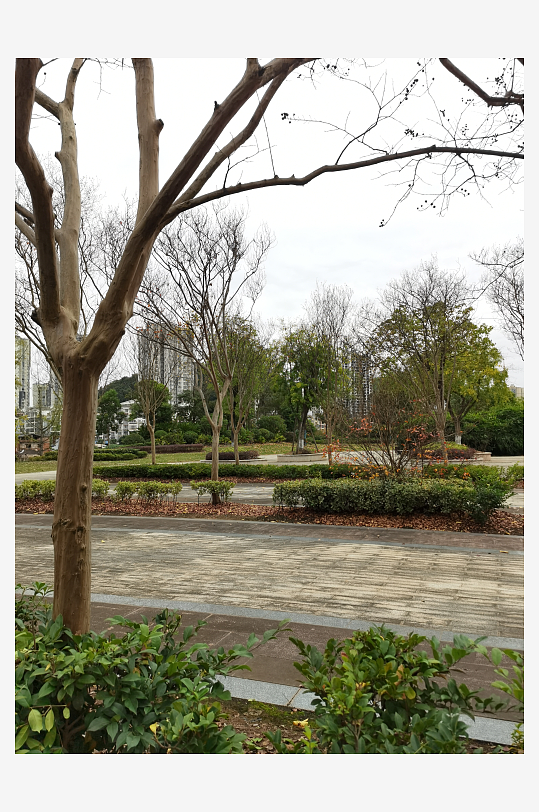宜居城市的户外环境-众图网
