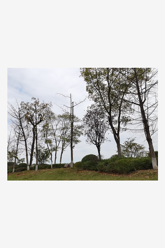 宜居城市的户外环境-众图网