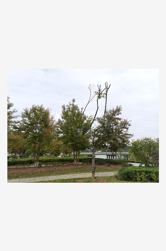 悠闲舒适的户外环境-众图网