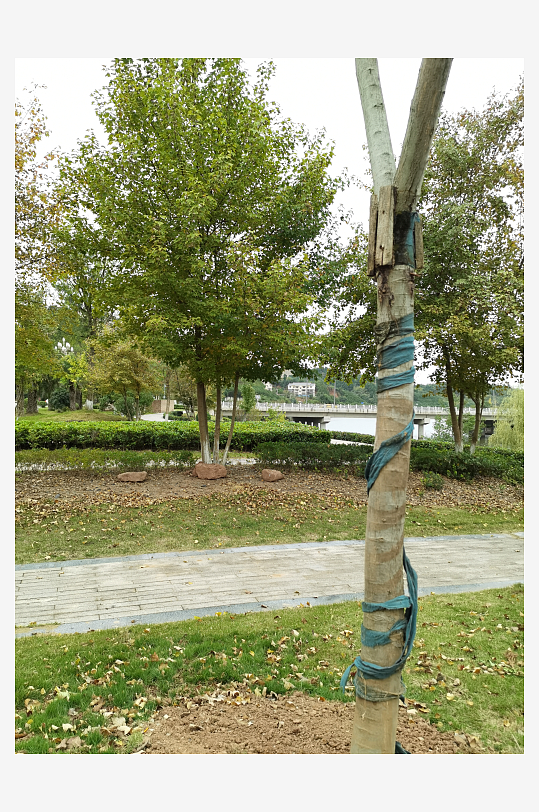 悠闲舒适的户外环境-众图网