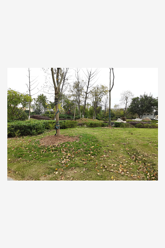 悠闲舒适的户外环境-众图网