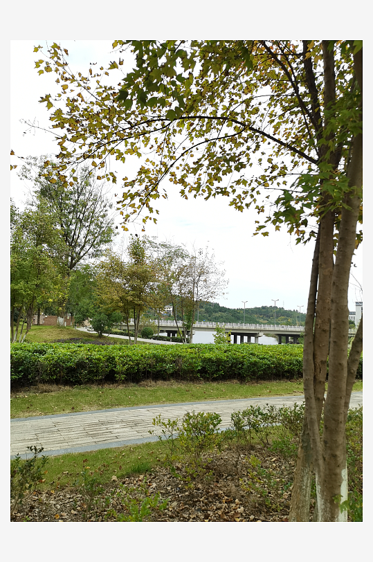 悠闲舒适的户外环境-众图网