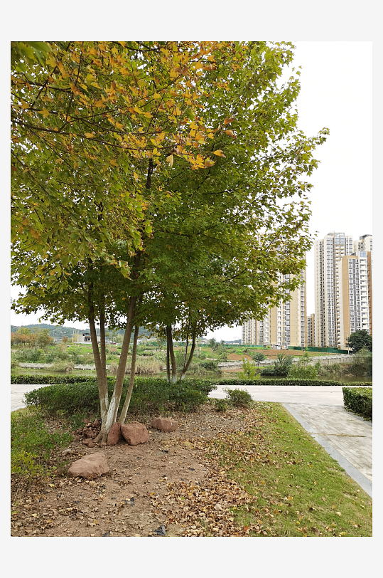 清新舒适的户外环境-众图网