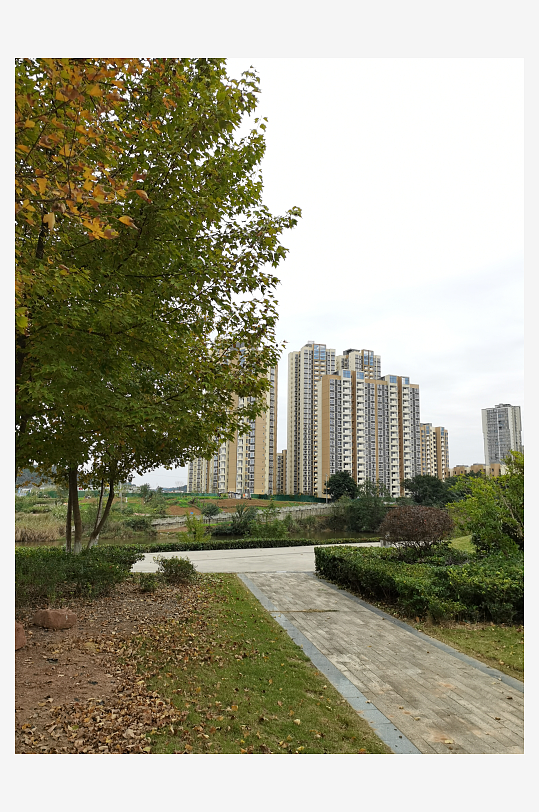 清新舒适的户外环境-众图网