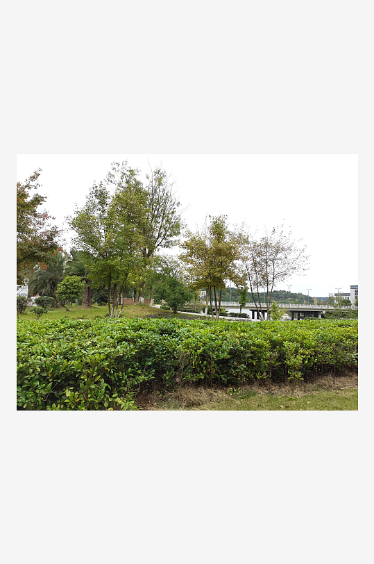 清新舒适的户外环境-众图网