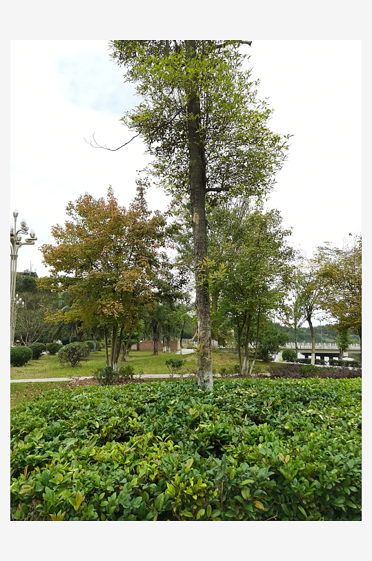 清新舒适的户外环境-众图网