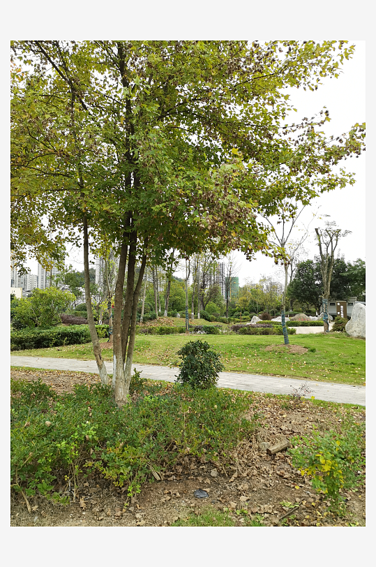 清新舒适的户外环境-众图网