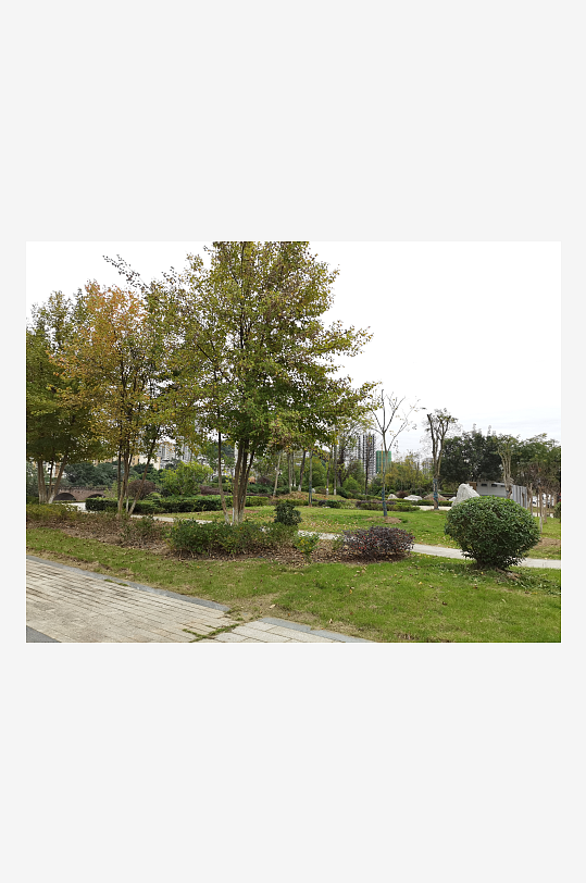 清新舒适的户外环境-众图网