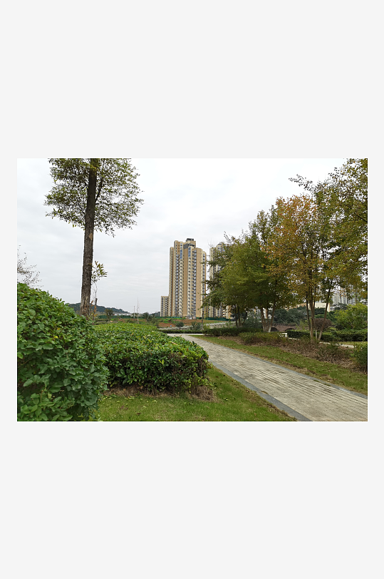 清新舒适的户外环境-众图网