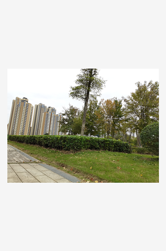 清新舒适的户外环境-众图网