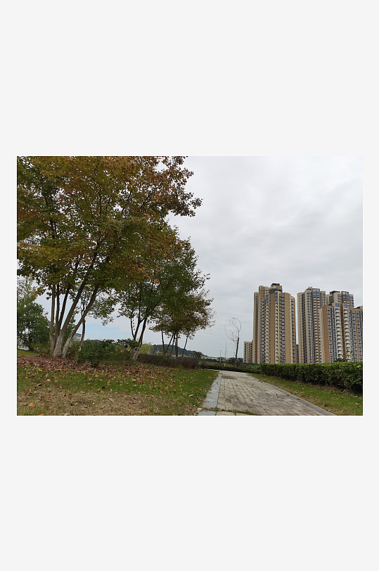 清新舒适的户外环境-众图网