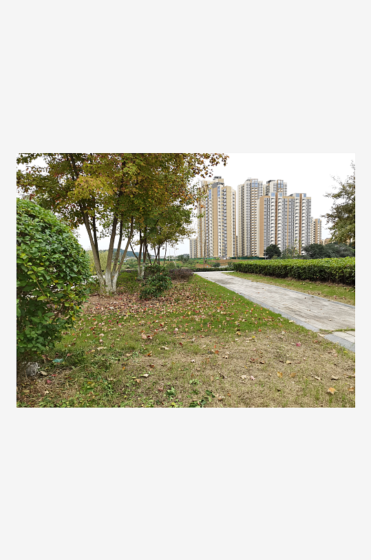 清新舒适的户外环境-众图网