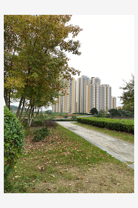 清新舒适的户外环境-众图网