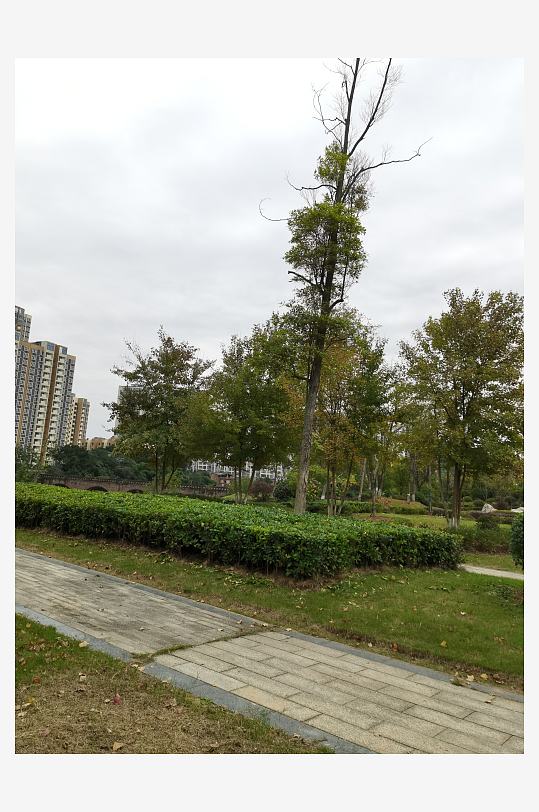 清新舒适的公园环境-众图网