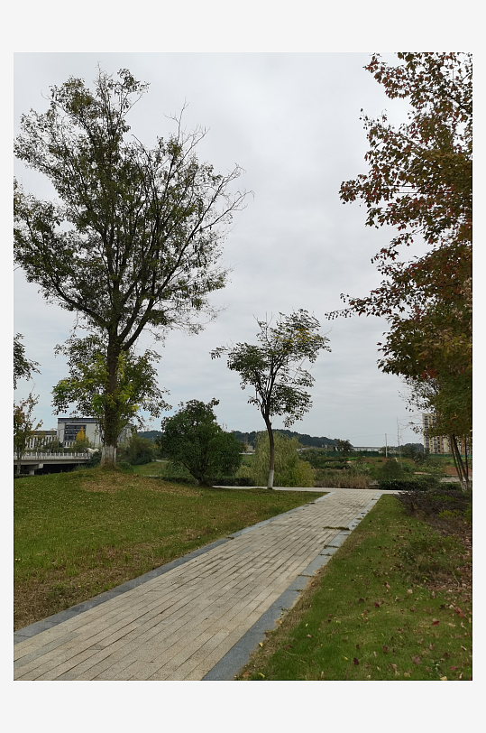 清新舒适的公园环境-众图网