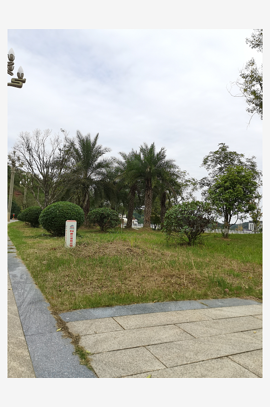 清新舒适的公园环境-众图网