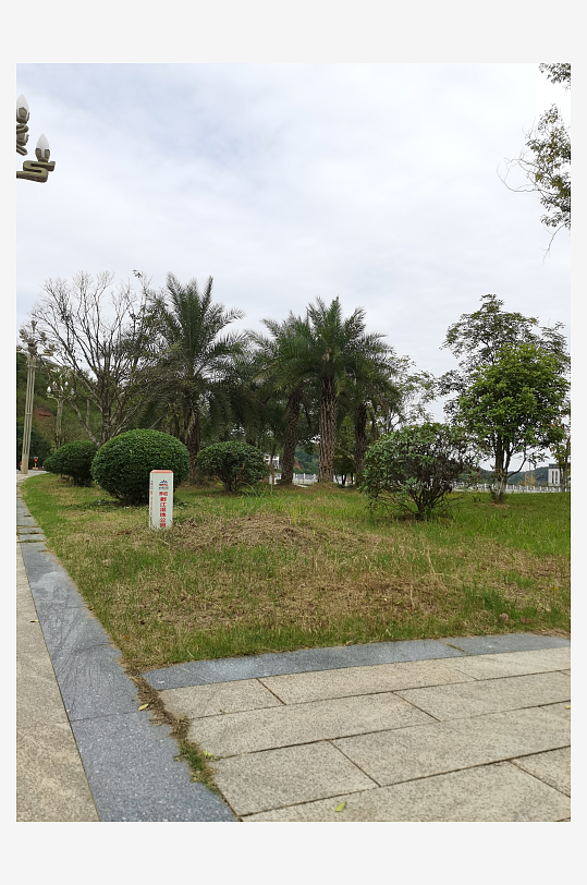 清新舒适的公园环境-众图网