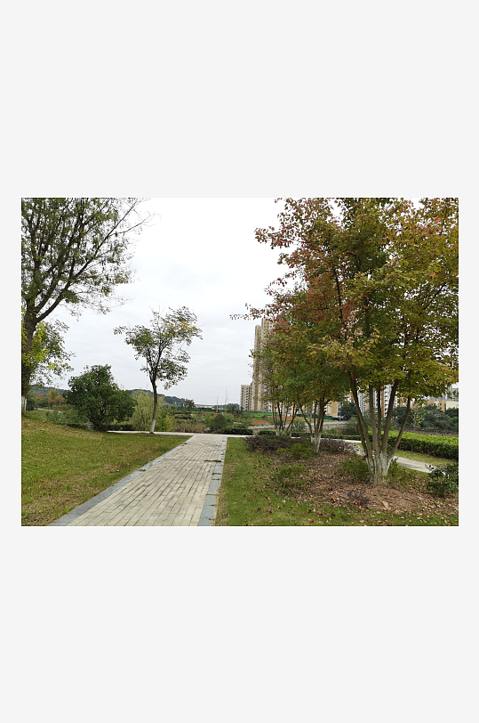 清新舒适的公园环境-众图网