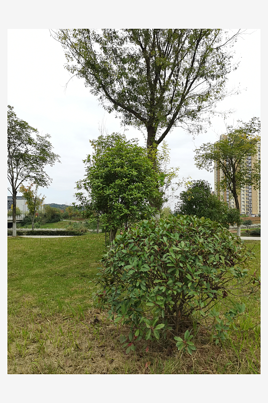 清新舒适的公园环境-众图网