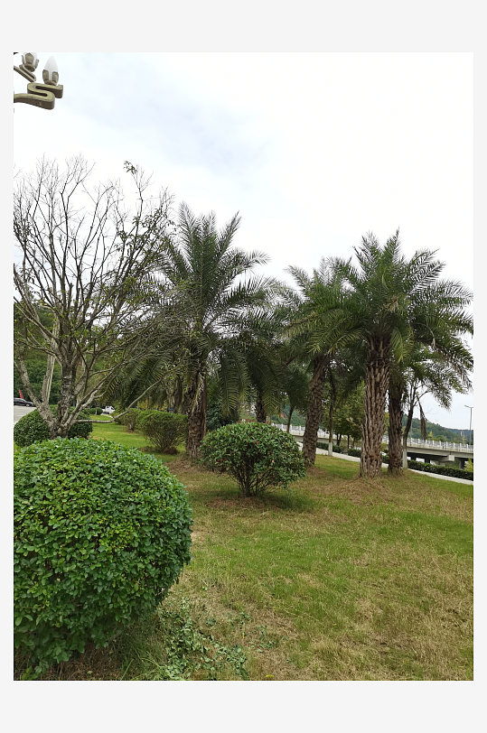 清新舒适的公园环境-众图网