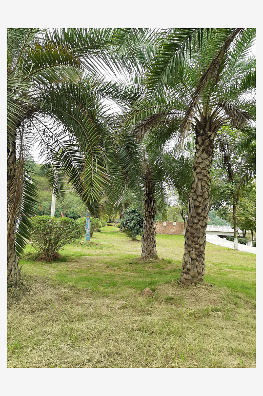 清新舒适的公园环境-众图网