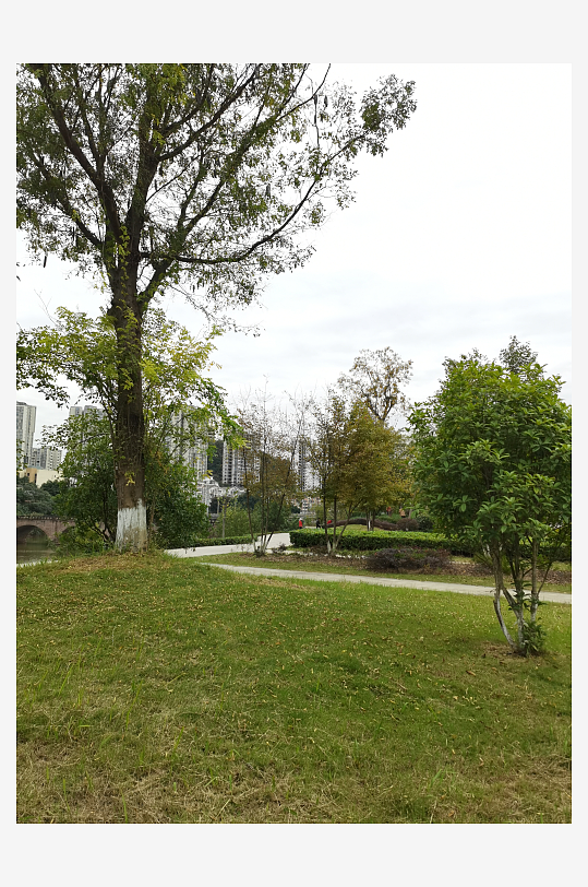 清新舒适的公园环境-众图网