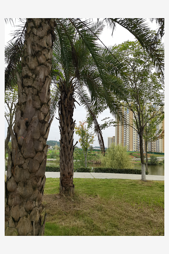 清新舒适的公园环境-众图网