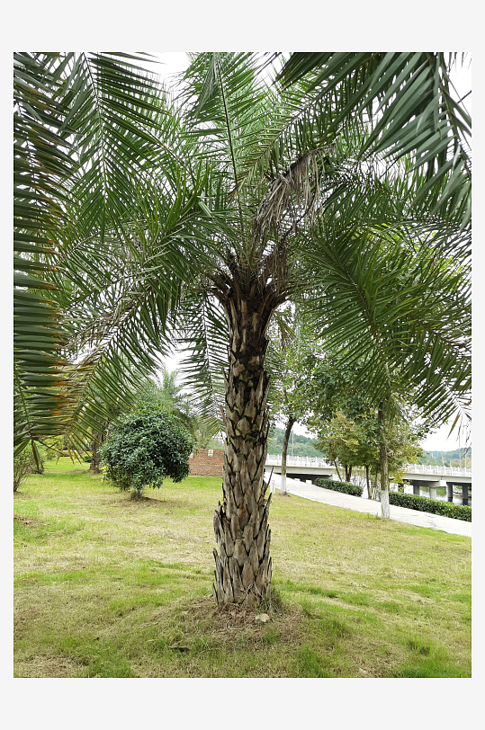 清新舒适的公园环境-众图网