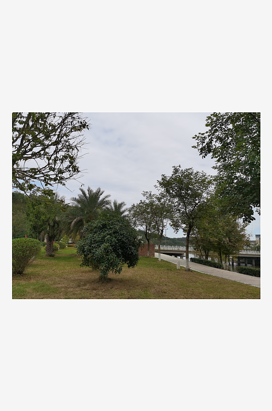 清新舒适的休闲公园环境-众图网