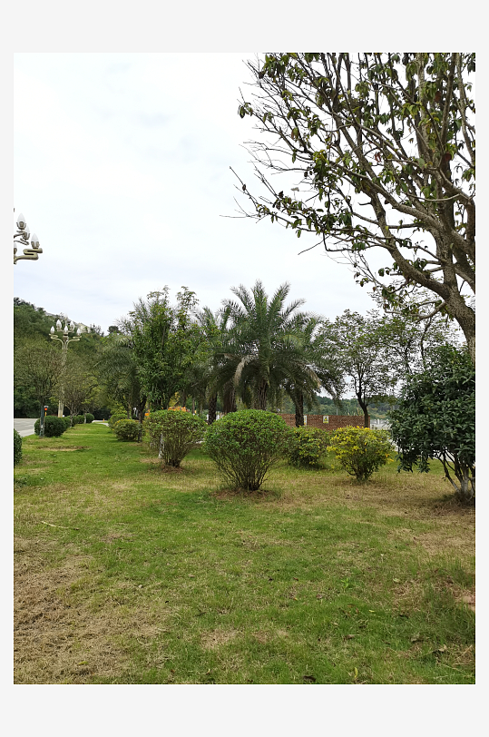 清新舒适的休闲公园环境-众图网