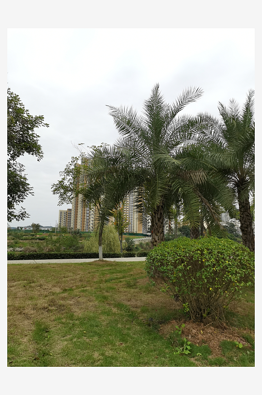 清新舒适的休闲公园环境-众图网