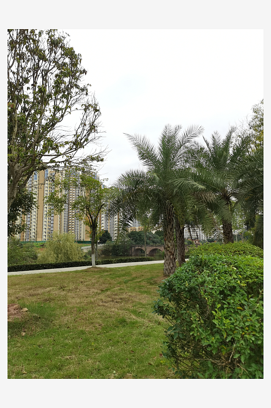 清新舒适的休闲公园环境-众图网