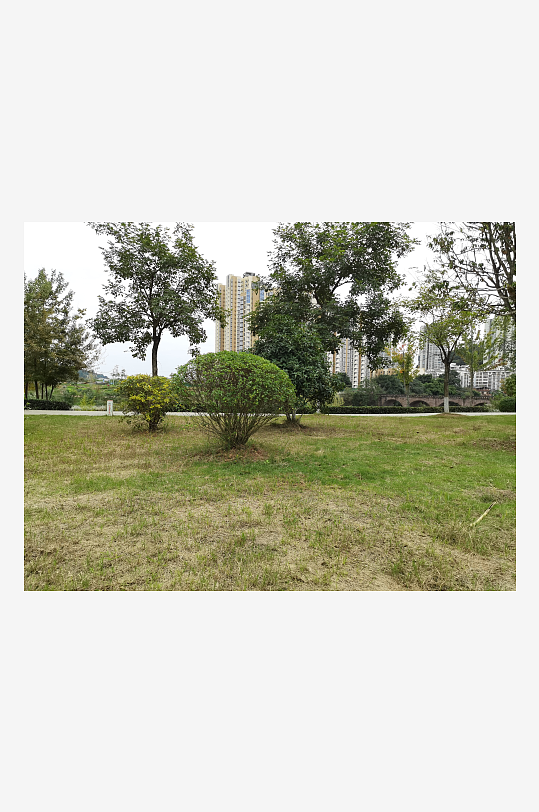 清新舒适的休闲公园环境-众图网