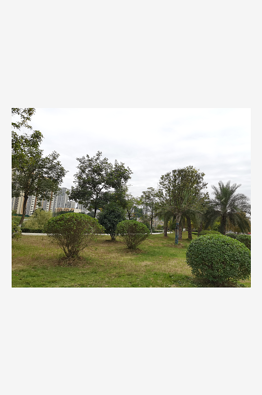 清新舒适的休闲公园环境-众图网