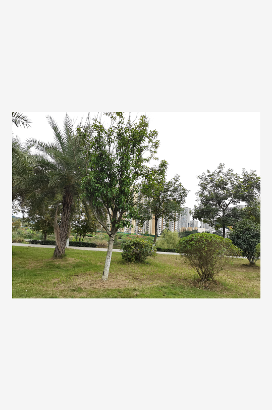 清新舒适的休闲公园环境-众图网