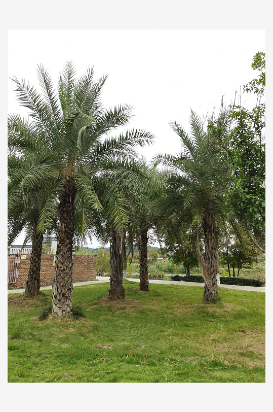 清新舒适的休闲公园环境-众图网