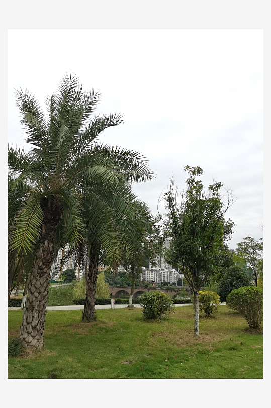 清新舒适的休闲公园环境-众图网