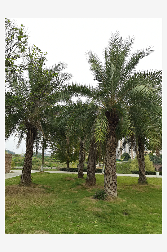 清新舒适的休闲公园环境-众图网