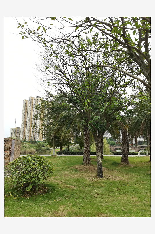 绿意盎然的休闲公园环境-众图网