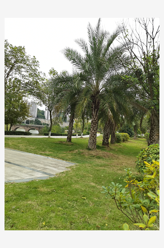 绿意盎然的休闲公园环境-众图网